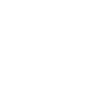 Seale Home Inspection logo. An ornate S in the middle a white seal.